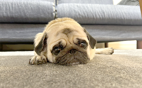 茨木市駅前店_03