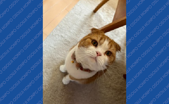 17134周南久米店_05