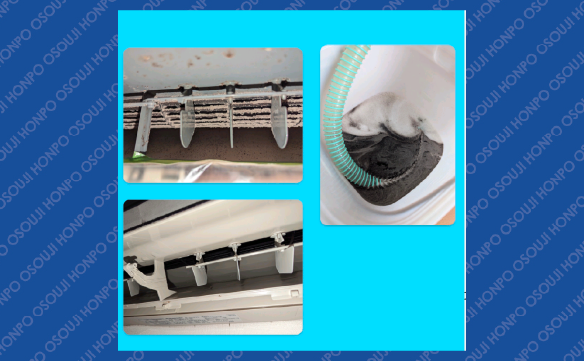 19550新居浜東店02