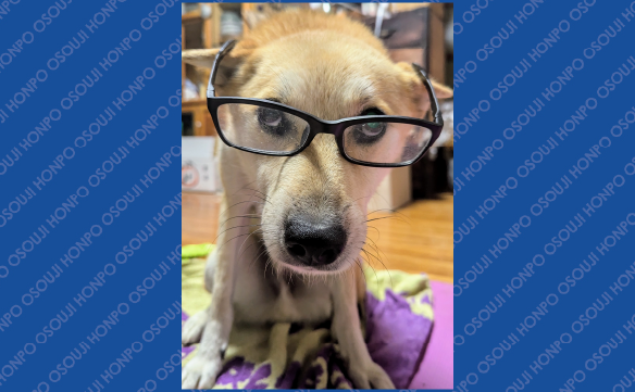 19550新居浜東店05