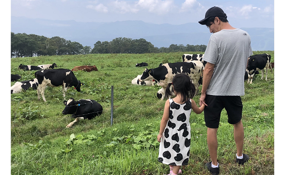 19850 江戸川南篠崎店 02