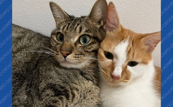 19918東大阪荒本店_02