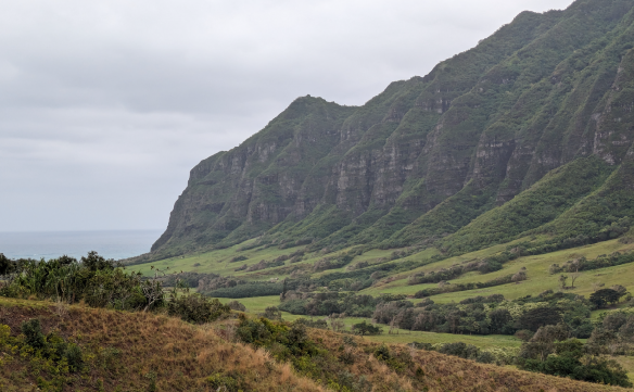 20356和歌山西牟婁店04