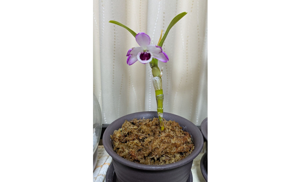 20660　横浜中村町店　04