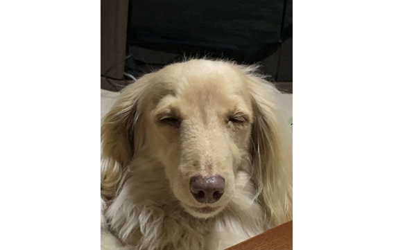 20660　横浜中村町店　05