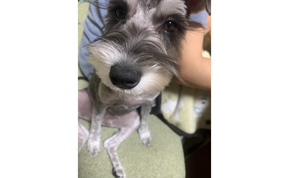 20786 高崎インター店　image003