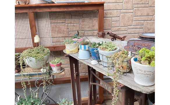 21006 姶良加治木店　005