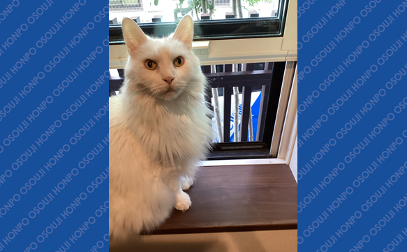 21086 草津野村店　image003