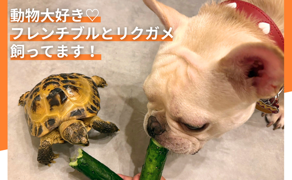 21091　戸越銀座駅前店　002