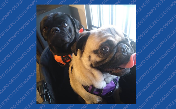 21126 此花店 Image003