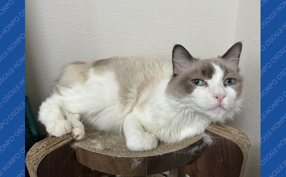 21332　あすか山店　Image003