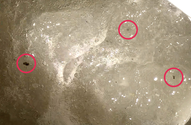 洗濯槽の裏側に付いていた汚れ