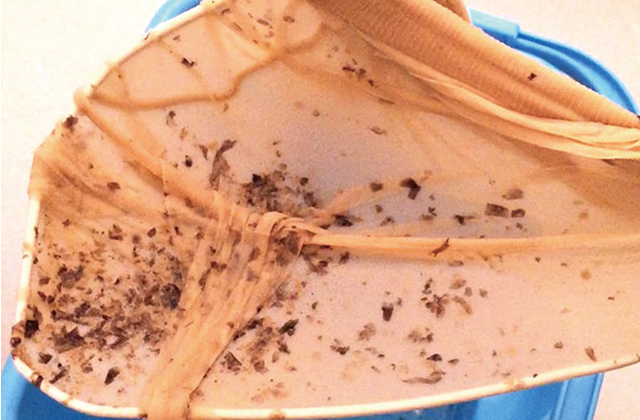 汚れをすくい取る