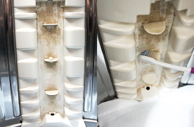 本体側も掃除する