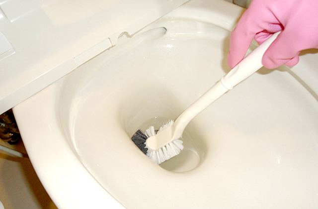 トイレブラシを使った便器のお掃除