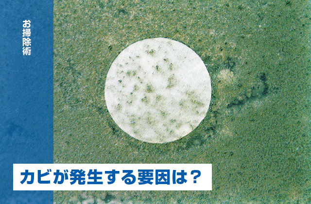 カビが発生する要因は「栄養」「水分」「温度」あと1つは？