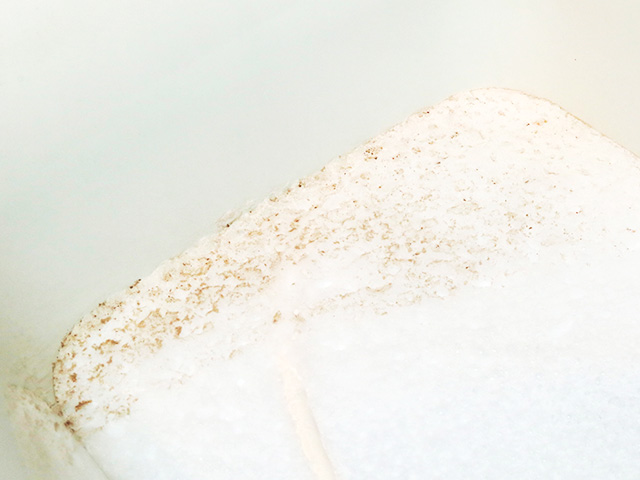 皮脂汚れ（垢）や雑菌