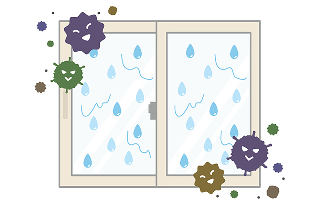 黒カビってどんなカビ?