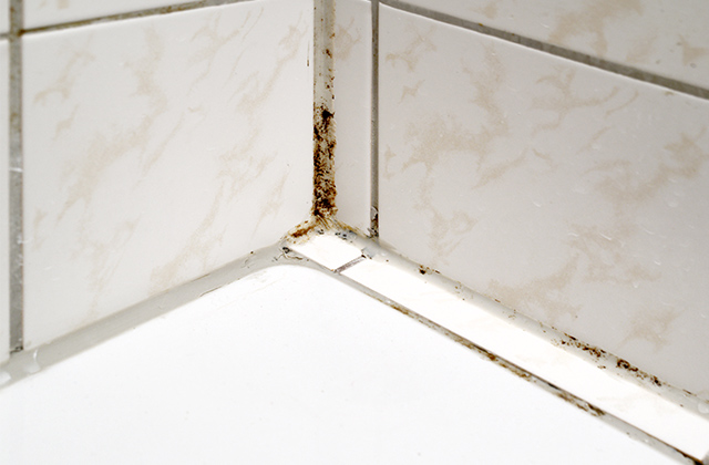 その他、カビや水アカ汚れが気になったら行う掃除