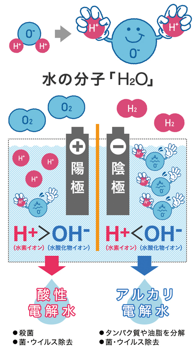 電解水の種類