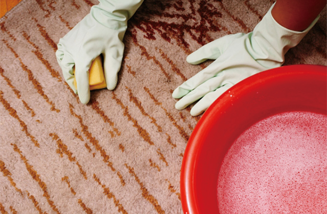 カーペットやラグはアルカリ電解水を使えば、乾いたタオルで拭き取って自然乾燥させれば完了