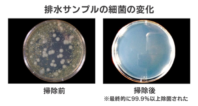 排水サンプルの細菌の変化