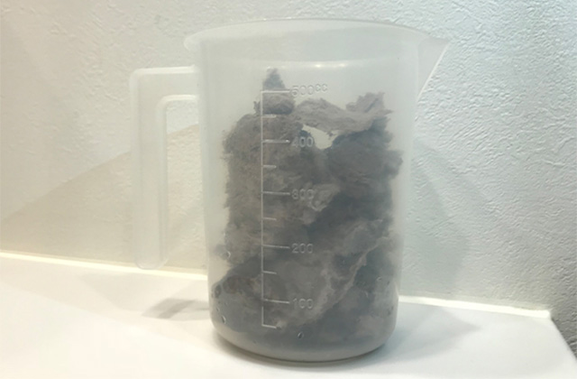 乾燥フィルターのクリーニング事例①日立製ドラム式洗濯機