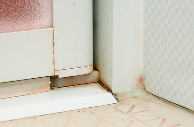 赤カビ・ピンクカビ・赤いぬめりとして認識されている「ロドトルラ」