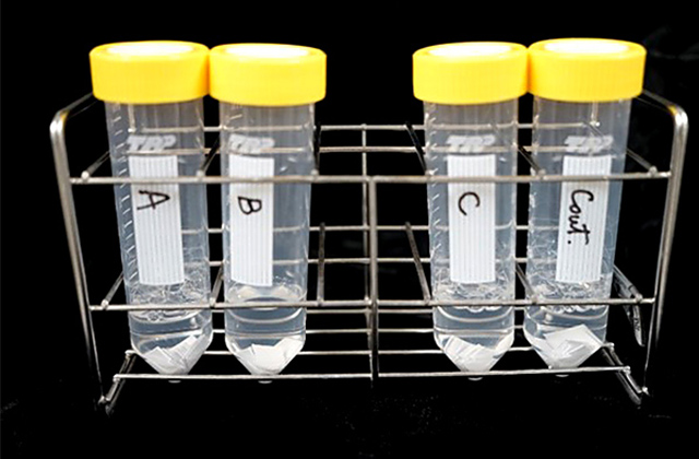 防カビコート剤を塗布した検体を市販の浴室用洗剤に浸漬した様子