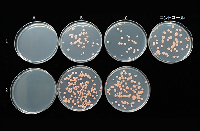 Aがおそうじ本舗の防カビコート剤、B・Cは市販の防カビ剤で比較