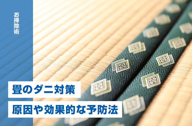 畳のダニ対策は必要？ダニが発生する原因や効果的な予防法を紹介！