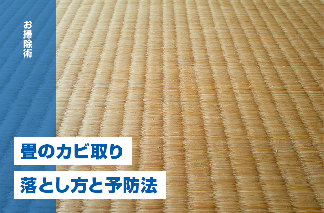 畳のカビ取り方法を紹介！自分でできるカビの落とし方と予防法