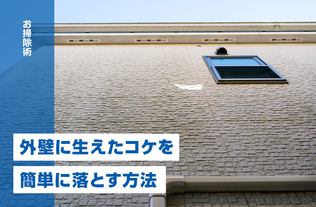 外壁のコケ取りは自分でできる?簡単に落とす方法と予防策を解説