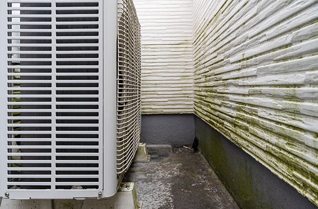 外壁にもコケが生える?その原因とリスクとは