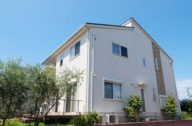 コケを繰り返さない!外壁をキレイに保つ予防対策